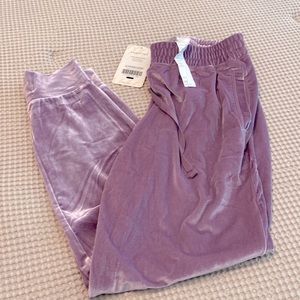 NWT Luxe Daria velour jogger